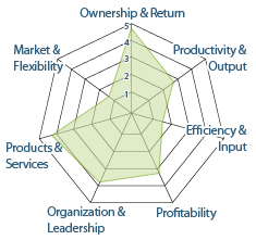 The seven strategic and operations dimensions of excellence.